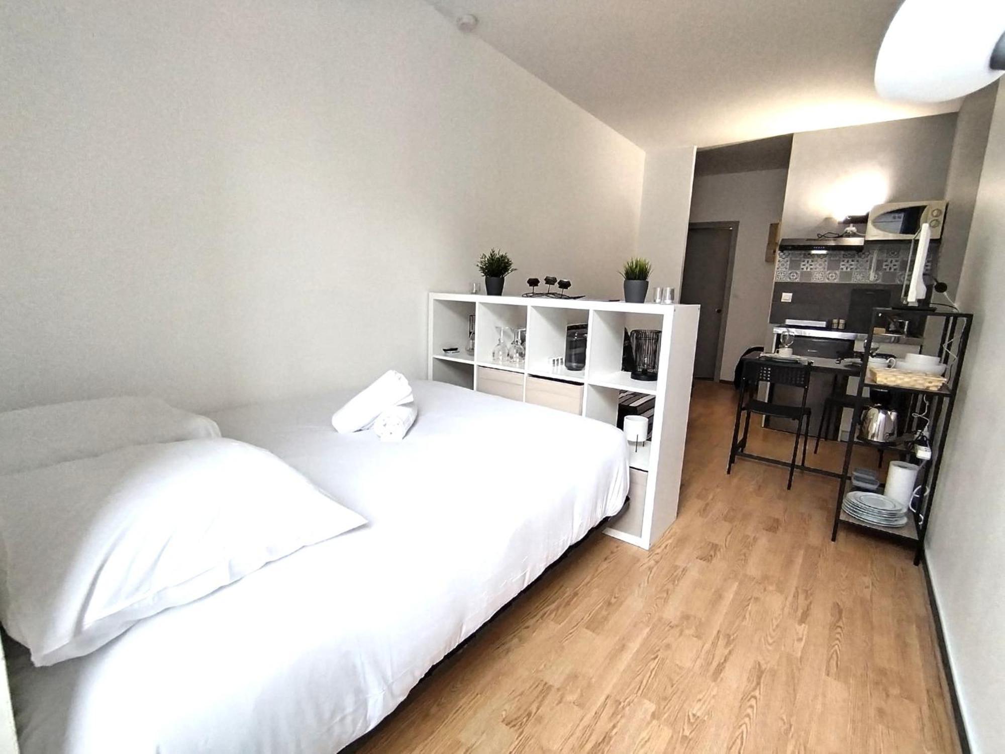 La Belle Vie Paloise - Hypercentre Apartment Pau